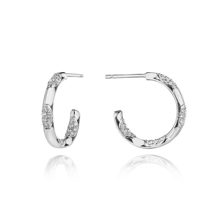 Hoop Earrings, Pulse 20mm