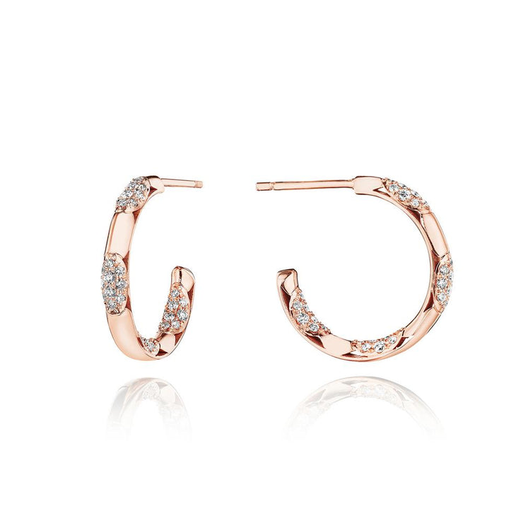 Hoop Earrings, Pulse 20mm